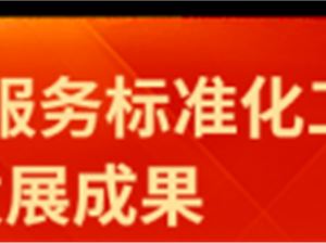 信息技術(shù)服務(wù)標(biāo)準(zhǔn) 技術(shù)服務(wù)的基石與導(dǎo)向